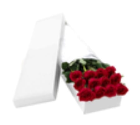 Elegant Boxed Roses