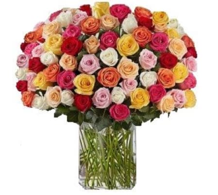 Mixed Roses - Opulence of Love