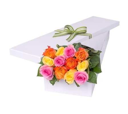 Dozen Elegant Mixed Roses in Box