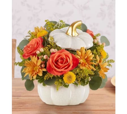 Autum in season Pumpkin