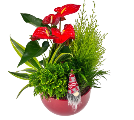 Tropical Tidings Planter