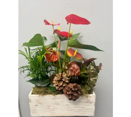 Winter Wonderland Planter