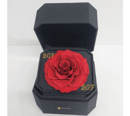 Romantic Preserve Rose