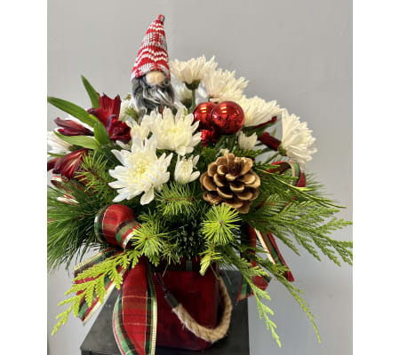 Gnome for the holiday season