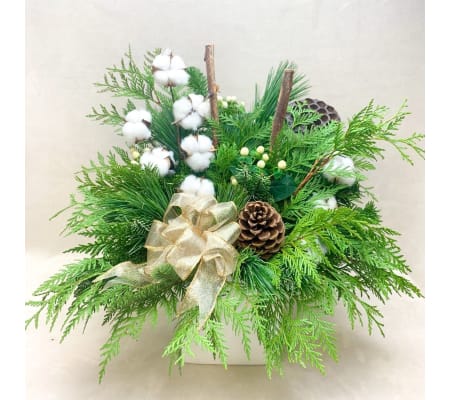 Winter Wonderland 2023