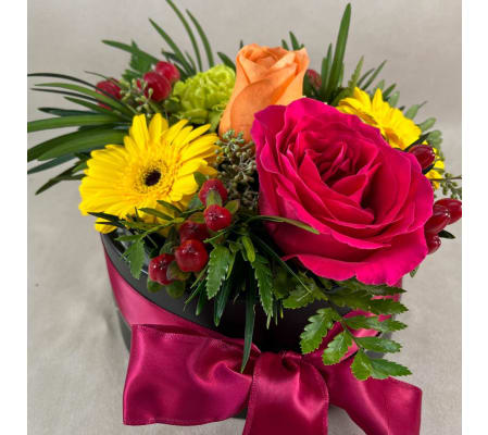 Signature Collection Canadian Rockies