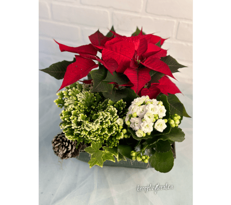 Spark JOY Holiday Garden Premium Square