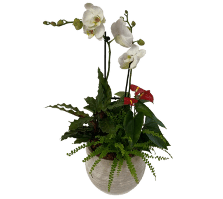 Tropical Orchid Planter/Dish Garden