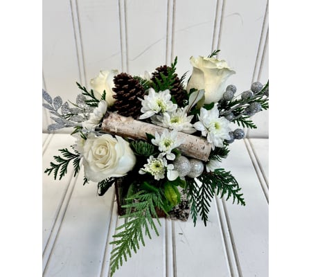 Silver Woodlands 2023