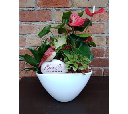 'By Design' Cardinal Sympathy Planter