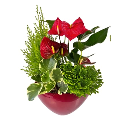 Perfect Christmas Planter