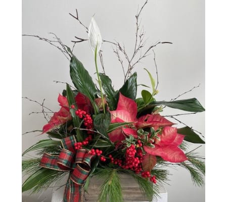 Flowerville Christmas planter