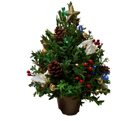 Christmas Holiday Boxwood Tree