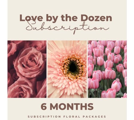 Subscription Florals - Dozen Wrapped Blooms