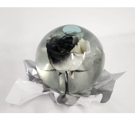 Black and White Rose in Globe