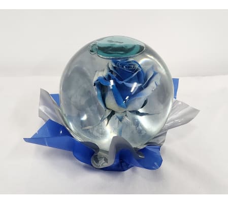 Light Blue with White Rose Globe