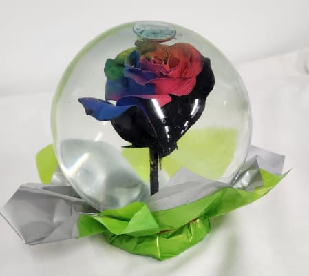 Rainbow and Black Rose Globe