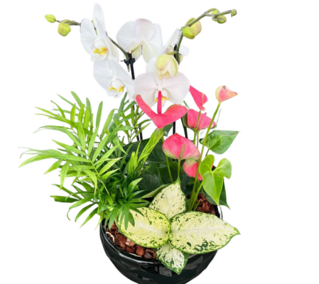 Extra Large Tropical Planter with Orchid