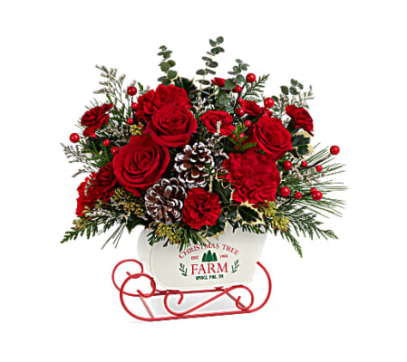 Teleflora's Snow What Fun