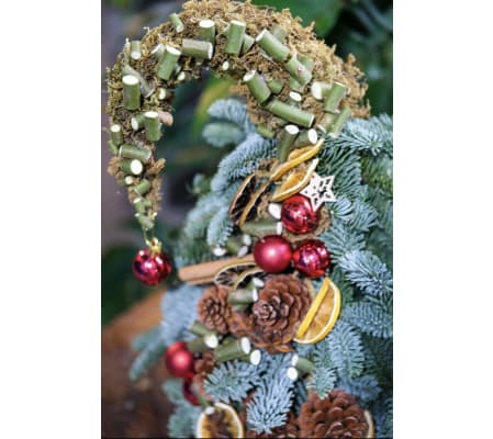 Holiday  Fresh Pine Trees