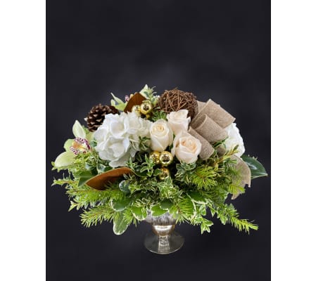 Celebration of Light