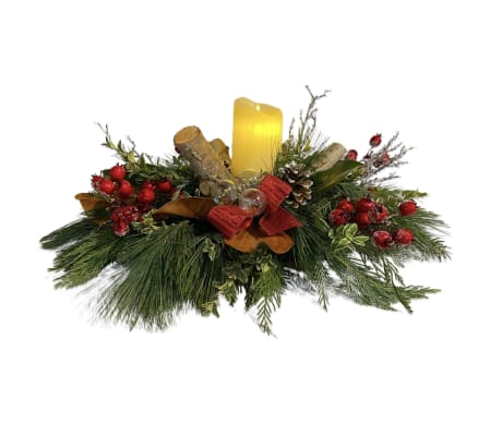 Winter Forest Foliage