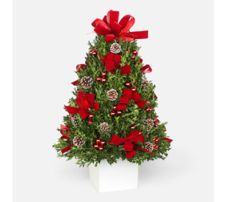 Holiday Decorated Boxwood Tree