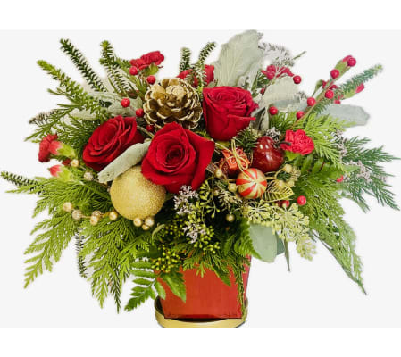 Festive Christmas Wishes