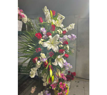 Dancing Spring Spray