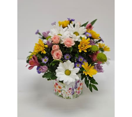 A New Day in the Garden