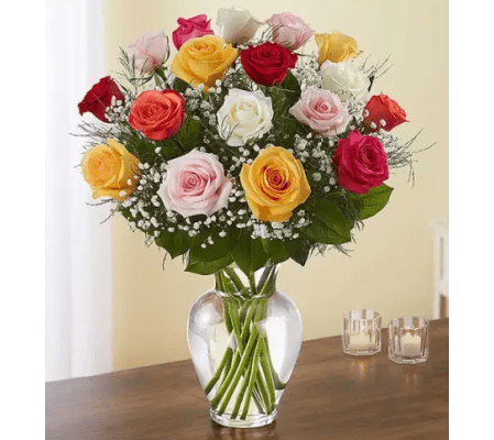 GARDEN MIXED COLOR ROSES