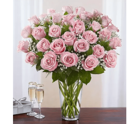 Ultimate Premium Long Stem Pink Roses