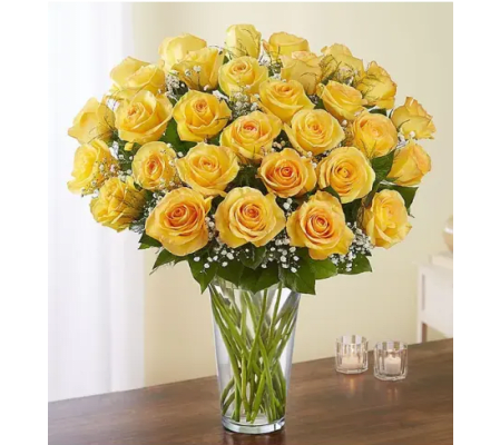 Ultimate Premium Long Stem Yellow Rose