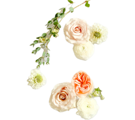 Daily Deal - Designer's Choice (TPATS)