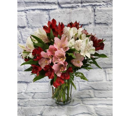 Love Alstromeria Lilies
