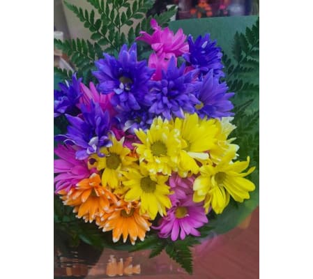 Rainbow Daisy Bouquet
