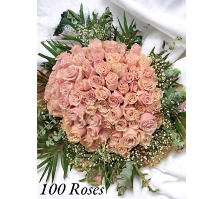 100 pink roses