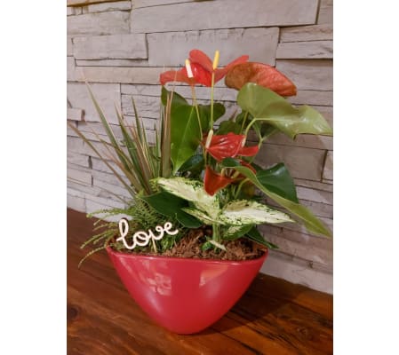 With Love Lush Planter
