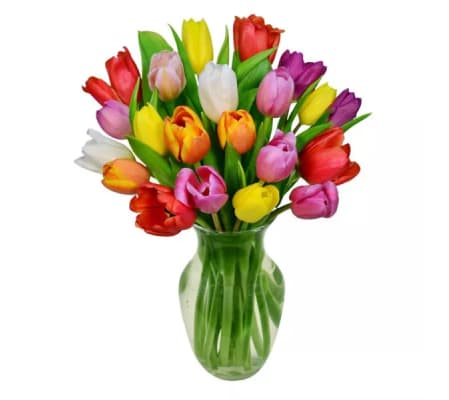 Melody of Tulips ****Locally Grown***