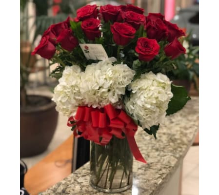 2 DOZEN RED ROSES WITH HYDRENGEA VASE