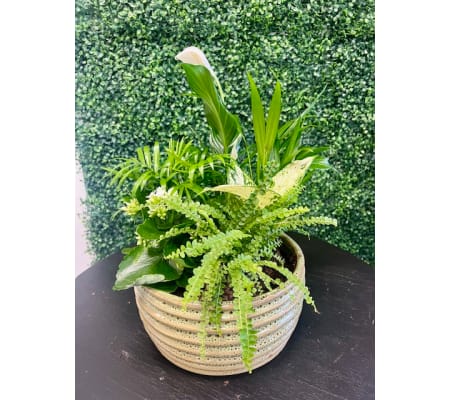 XL Ceramic Planter