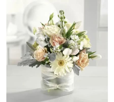 pure pleasures- all white