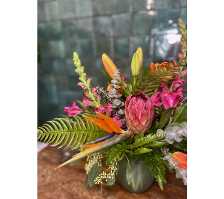 Designers Choice - Tropical Magic