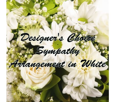 Designer Choice Sympathy in White