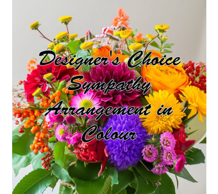 Designer's Choice for Sympathy in colour