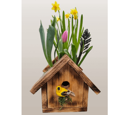 1st Blooms of Spring