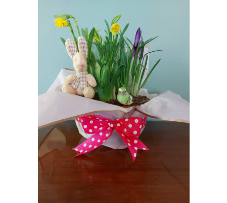 Brilliant Bulb Garden