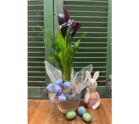 Potted Calla Lily for Easter