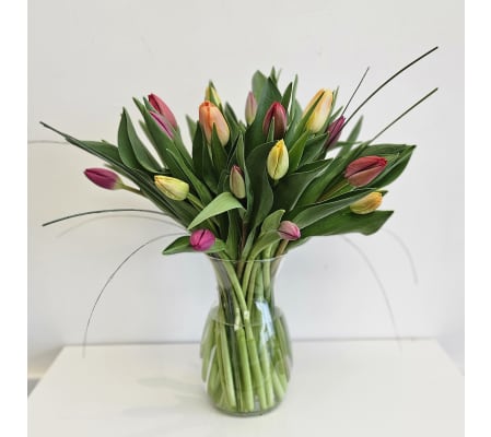 Sweetheart  mixed Tulips