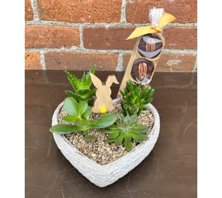 By Design ' Easter Succulents with Chocolates